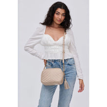 Load image into Gallery viewer, Eli Chevron Camera Crossbody Bag